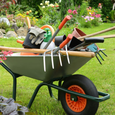 Service ” rund um Ihre Immobilie ” - Rasenmähen, Beetpflege, Gehwegreinigung, Parkplatzeinigung